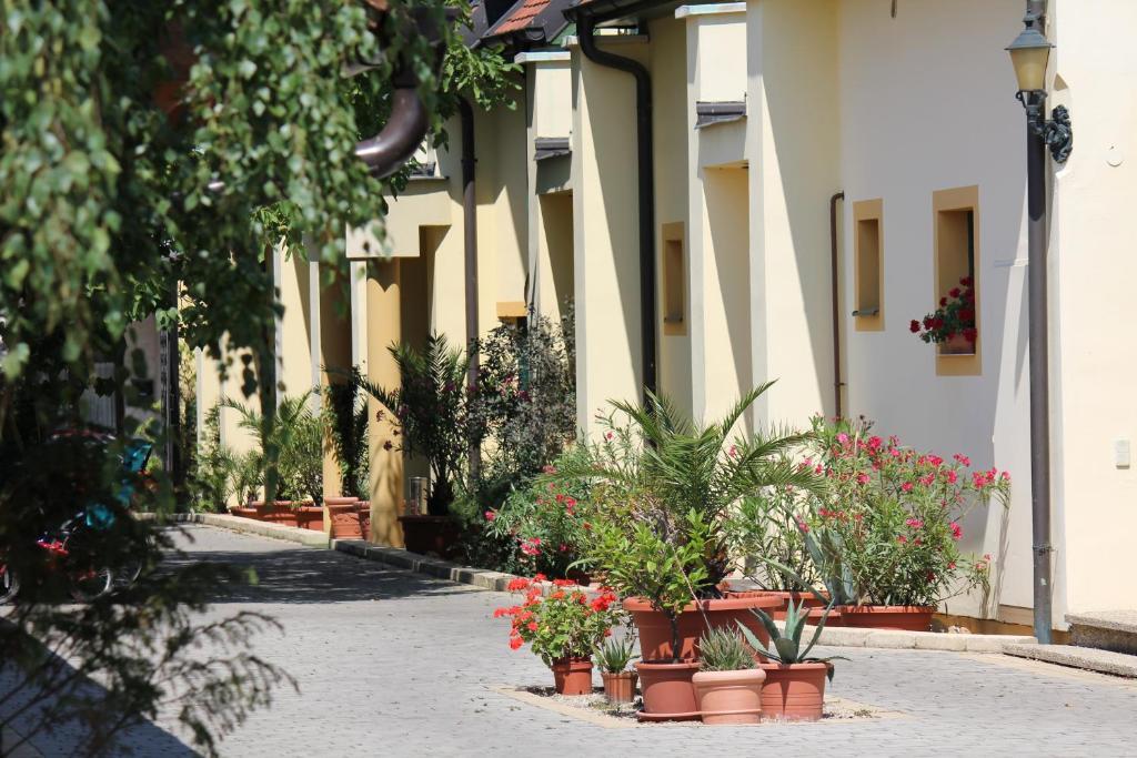 Levanda Panzio Kópháza Εξωτερικό φωτογραφία